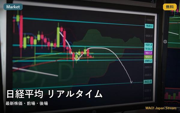 作品イメージ 1